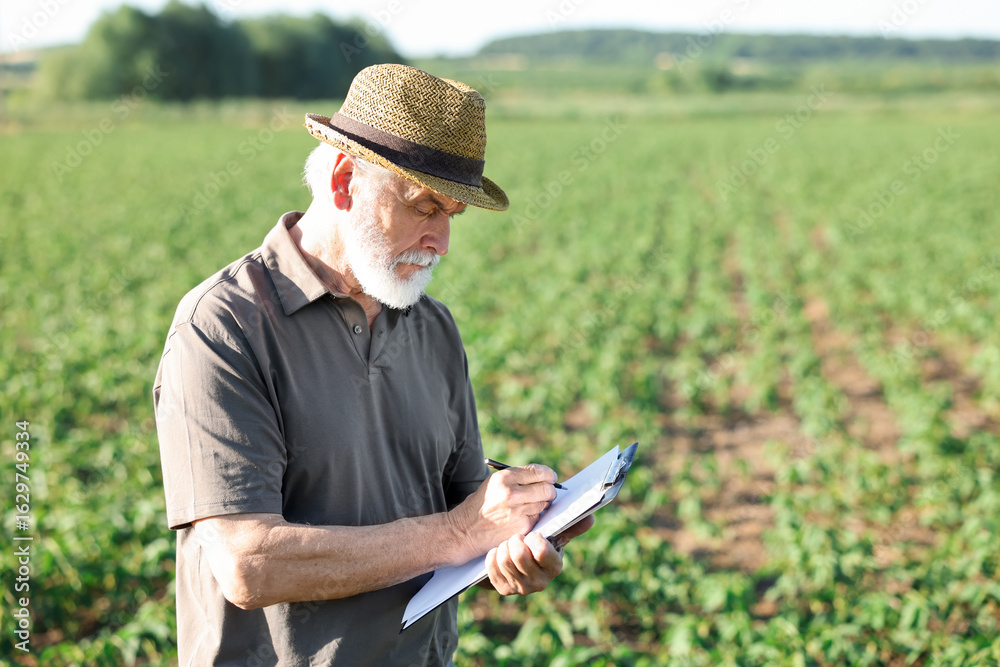 Senior farmer with clipboard in field of unripe soy outdoors, space for text Senior farmer with clipboard in field of unripe soy outdoors, space for text