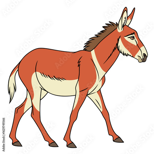 Illustration of a brown donkey with white markings, isolated on a white background