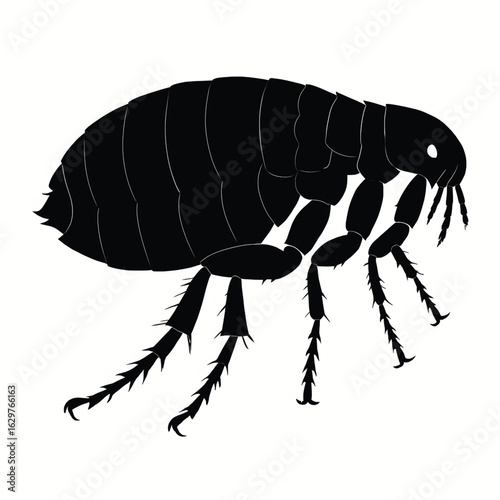 AFlea insect silhouette vector flat illustration design