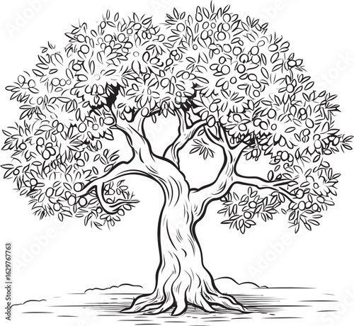 Olive Tree Black Vector Logo with Leaves Detail Olive Tree Black Silhouette Vector Icon