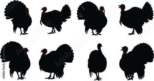 Collection of black turkey silhouettes in various poses with red heads