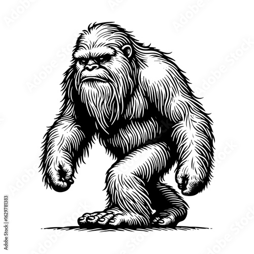 Detailed	Yeti walkiing 	in Black and White Engraving Style