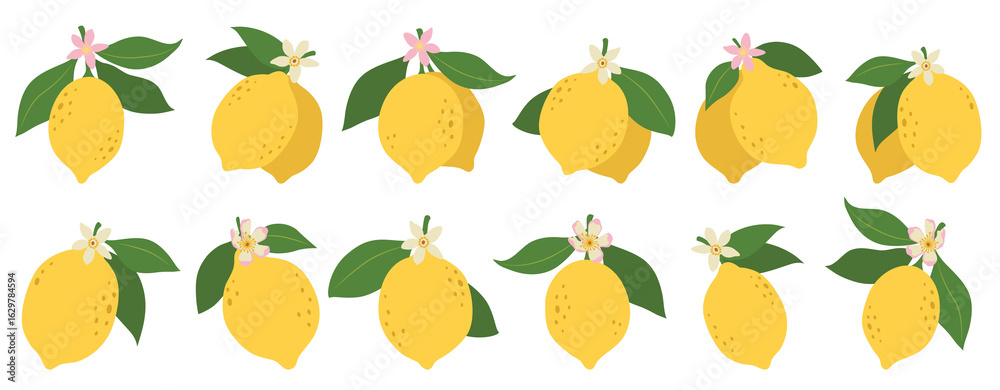 Obraz premium Lemons illustration, citrus fruits, green leaves, white flowers. Clipart set, yellow green colors. Baby shower design elements. Party invitation, birthday celebration. Spring or summer decoration set