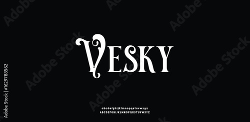 Elegant Font. Groovy Font. Graffiti Font. Creative Hand Drawn Uppercase,lowercase .Street Art Classic Lettering Fashion Designs Typography modern serif decorative vintage concept vector illustration