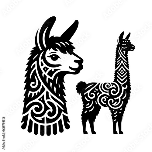 Stylized llama and alpaca illustration isolated on white background
