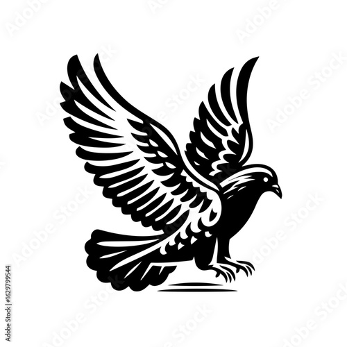 Dove flying with wings spread isolated on white background