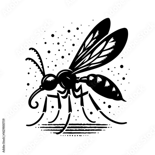 Mosquito isolated on white background