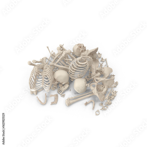 Animal Skeleton Bones Pile Isolated on Transparent Background
