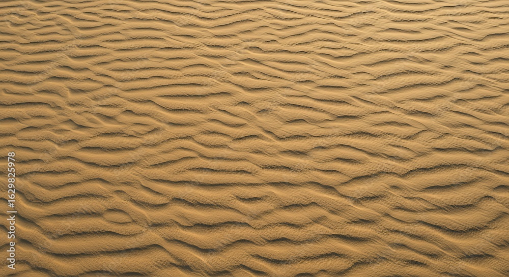 Desert Sand Dunes with Rippled Surface in Bright Sunlight Desert Sand Dunes with Rippled Surface in Bright Sunlight
