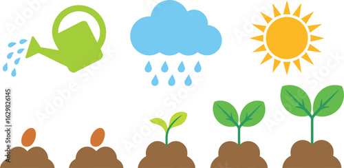 Flat Vector Illustration of Plant Growth Cycle with Sun, Rain, and Watering Elements, plant growth vector, growth stages, plant lifecycle