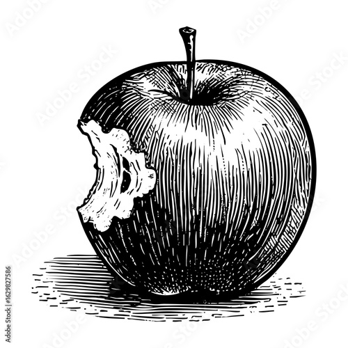 Antique engraved illustration from Bite apple fruit 	ink sketch. Vector isolated on transparent background.