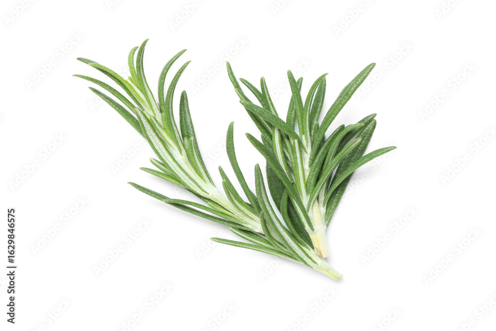 Fototapeta premium Fresh rosemary isolated on white background, closeup