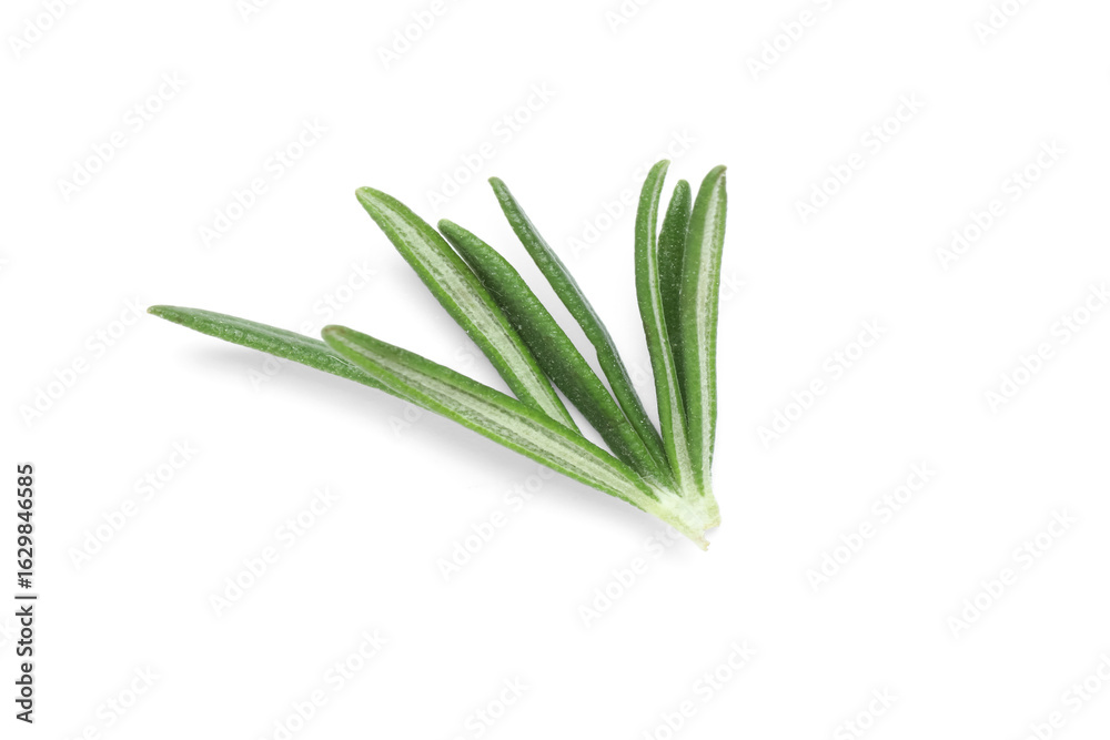 Fototapeta premium Fresh rosemary isolated on white background, closeup