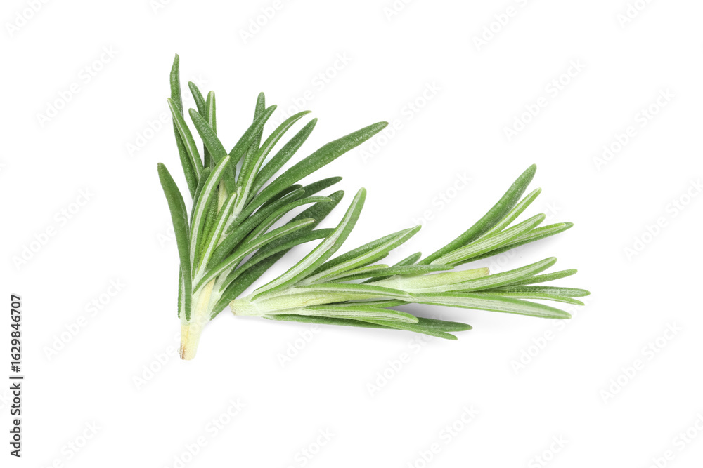 Fototapeta premium Fresh rosemary twigs isolated on white background, closeup