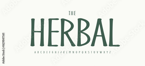 Organic botanical alphabet, rustic handdrawn font, thin herbal typeface for skincare cosmetics logo, wellness sign headline, elegant typographic design, modern eco natural typography. Vector typeset.