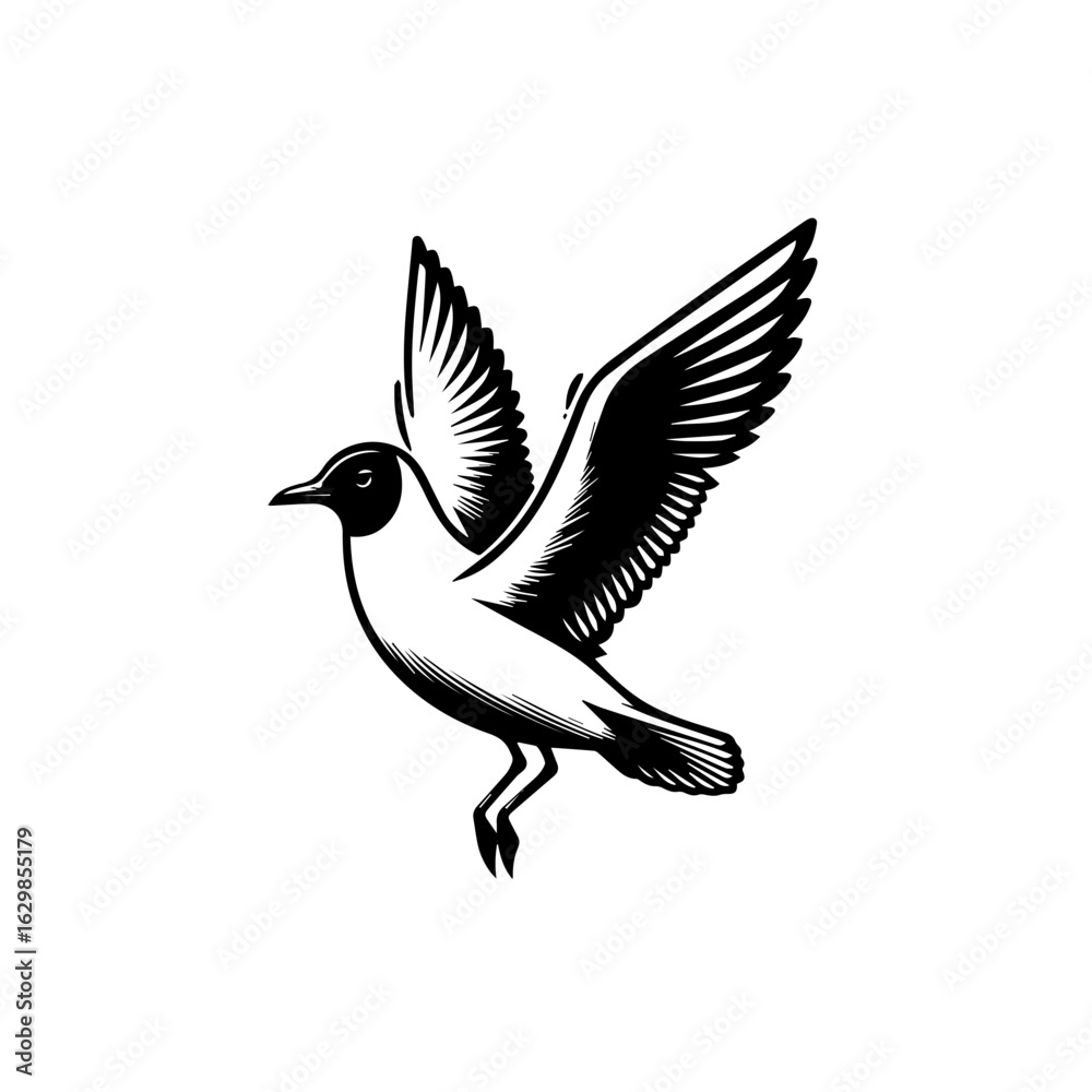 Fototapeta premium Black and white illustration of a seagull flying isolated on white background