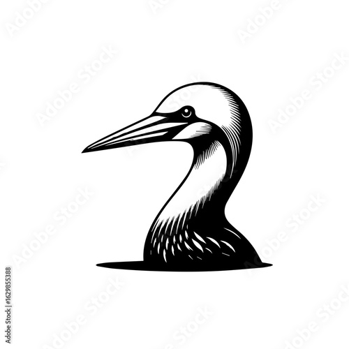 Illustration of a gannet bird head isolated on white background