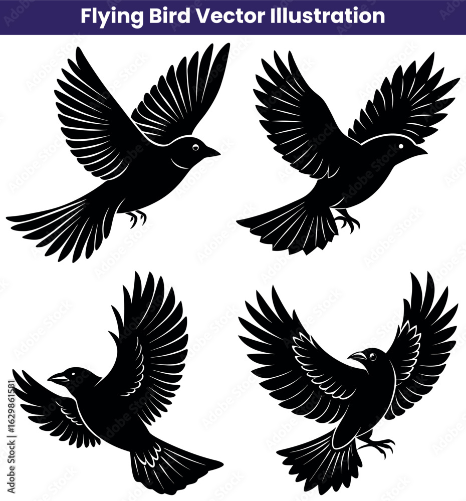 Fototapeta premium Detailed black flying bird silhouette collection, various wing positions, transparent background