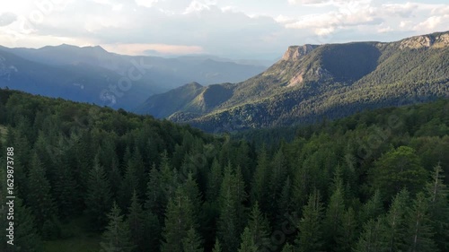 4k aerial video of rainforest Perucica in National park Sutjeska in Bosnia