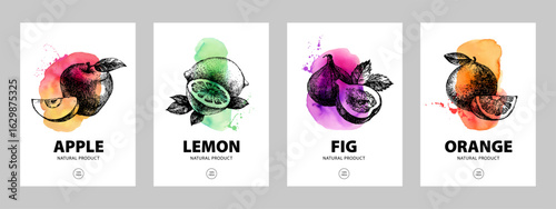 Watercolor and hand drawn sketch fruits. Eco food labels set. Farmers market logo banners. Vector illustration