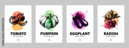 Watercolor and hand drawn sketch vegetables. Eco food labels set. Farmers market logo banners. Vector illustration