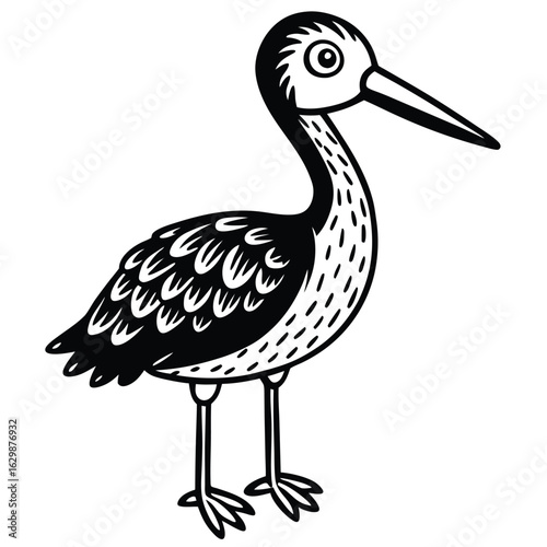 Wading bird with long beak isolated on white background