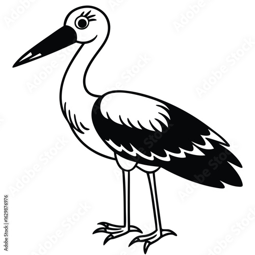 Wading bird with long beak isolated on white background