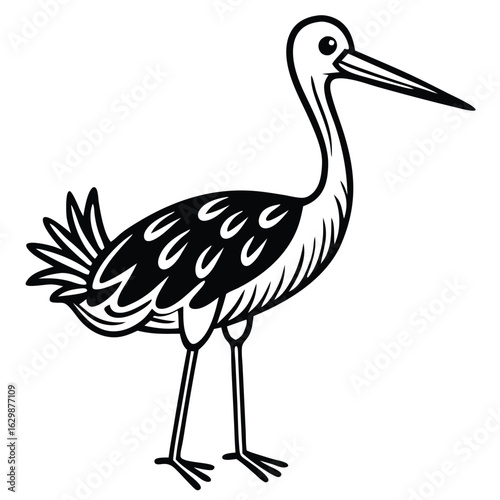 Wading bird with long beak isolated on white background
