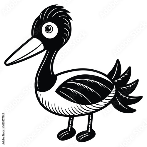 Wading bird with long beak isolated on white background