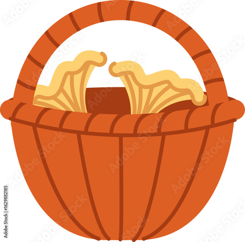 Basket with Fresh Mushrooms
