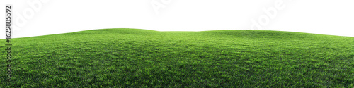 Expansive grassy field with subtle incline
