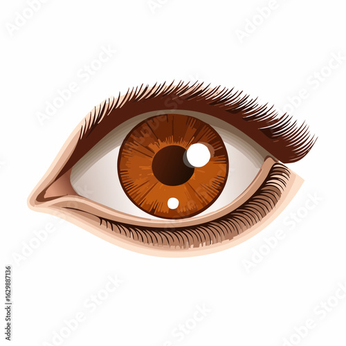 Braunes Auge