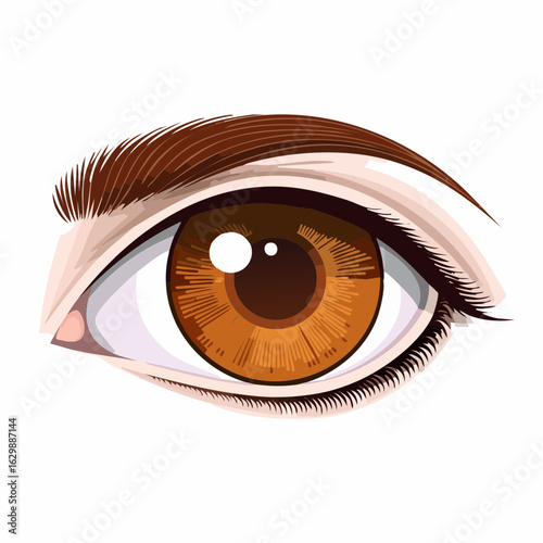 Braunes Auge