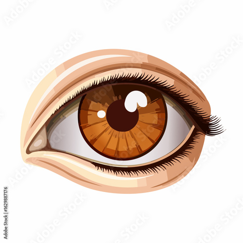Braunes Auge