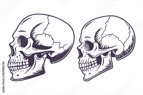Collection of hand-drawn angry skull illustrations. Black and white scary human head symbol for Halloween or gothic design.