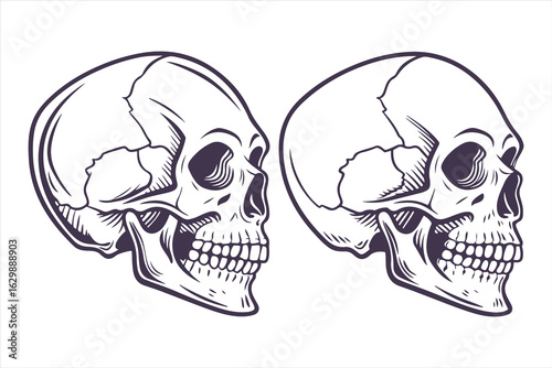 Collection of hand-drawn angry skull illustrations. Black and white scary human head symbol for Halloween or gothic design.