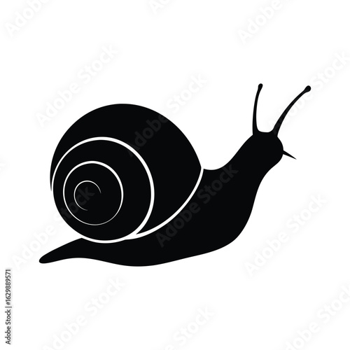 Snail silhouette vector illustration.