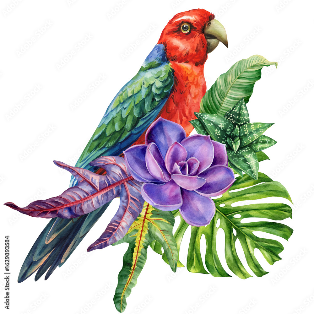 Fototapeta premium red and green parrot with purple succulent watercolor exotic bird with tropical monstera and croton leaves on white background