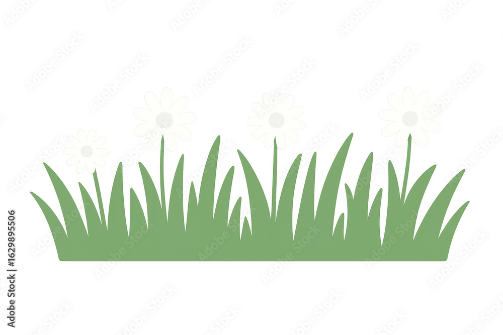 Fototapeta premium White daisies blooming amid lush green grass, transparent background highlighting delicate petals