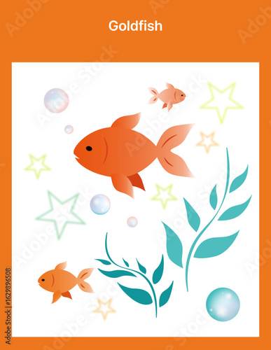 goldfish