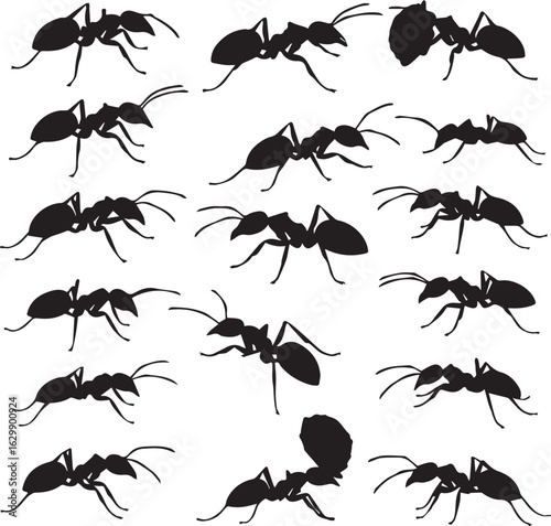 Multiple Black Ant Silhouettes in Various Poses on White ants insect