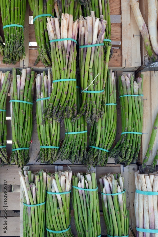 Obraz premium Bunches of white asparagus with purple tips and green asparagus at a French farmers market