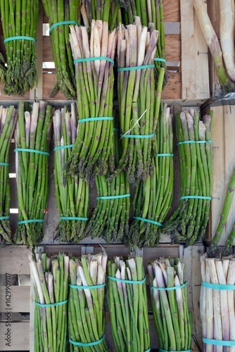 Bunches of white asparagus with purple tips and green asparagus at a French farmers market