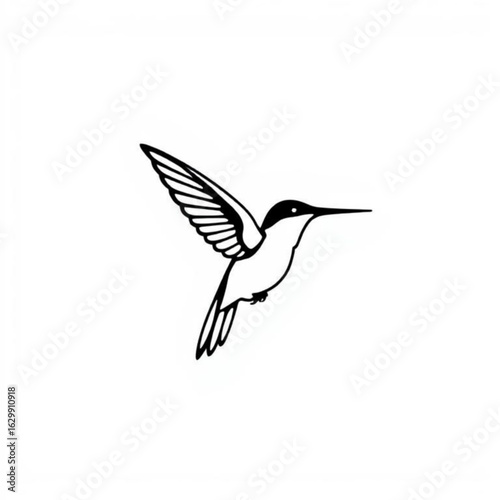 Costas Hummingbird Illustration