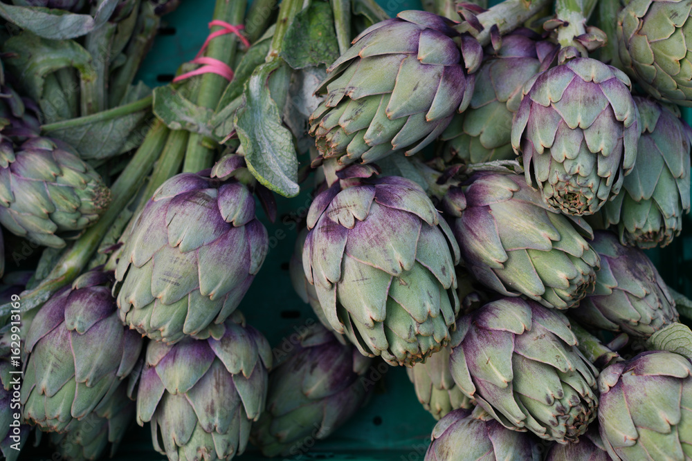 Fototapeta premium Fresh green and purple artichokes at a farmers market in Provence, France