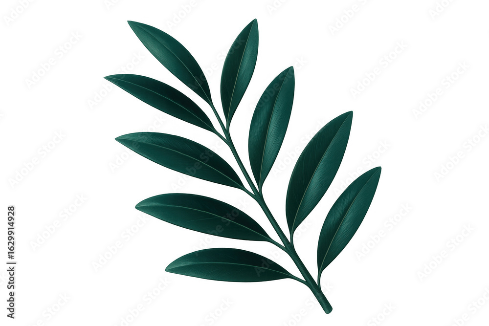 Fototapeta premium Vibrant green leaf branch isolated on a transparent background, perfect for nature-themed designs