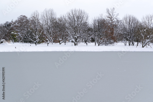 Wallpaper Mural Winter scenery of snow-covered forest and frozen pond Torontodigital.ca