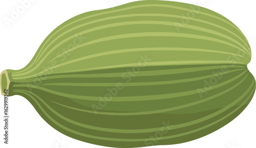 Cardamom Pod Flat Illustration