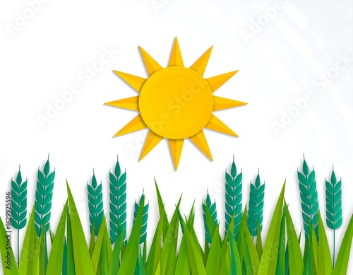 Bright sun over green grass