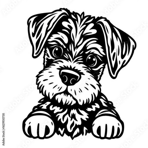 Boxerdoodle Animal Icon